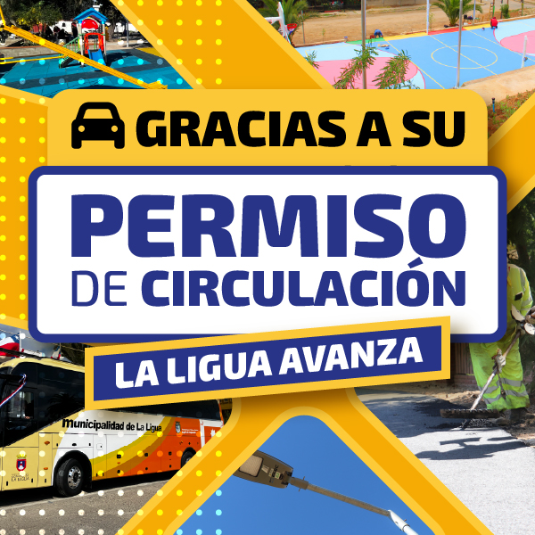 Vehículos Livianos - Permiso de Circulación